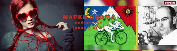 индика Семилуки