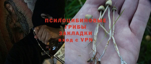 прущая мука Белокуриха