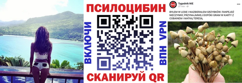 Галлюциногенные грибы Cubensis  купить закладку  Красный Кут 